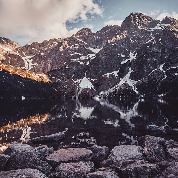 Business Transformation Program