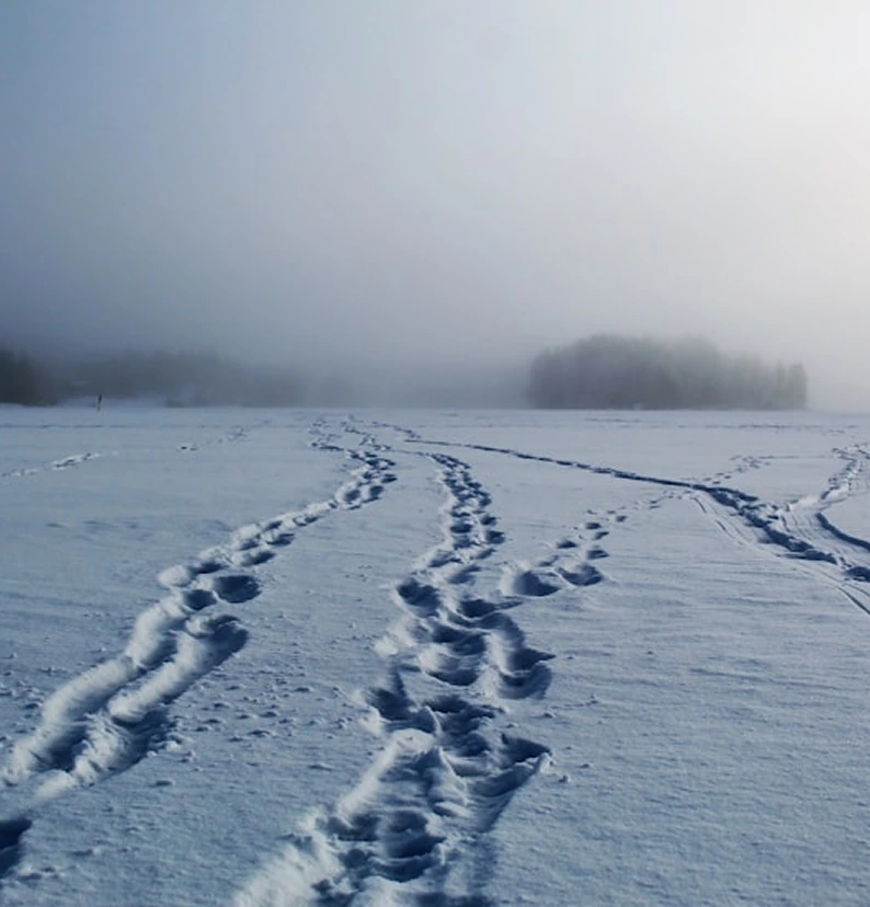 UMR Phase 6 Compliance